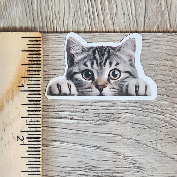 Pet Stickers 10 for $10 Dogs Puppy Cats Kitten Pets Animal Sticker - Picture 1 of 3